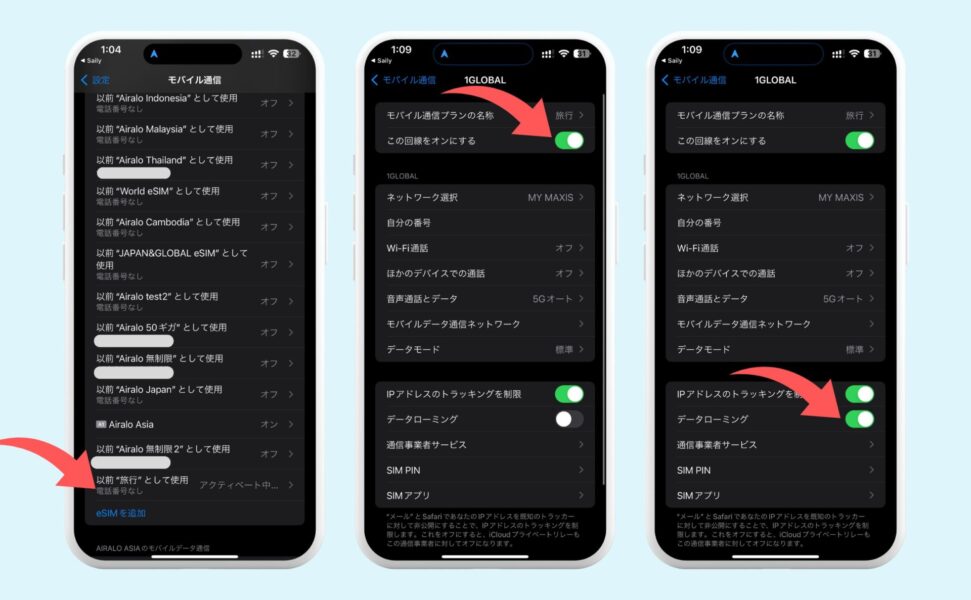SailyのデータローミングをONにする