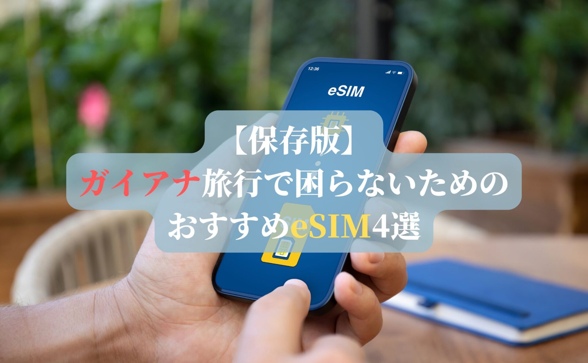 【保存版】ガイアナ旅行で困らないためのおすすめeSIM4選