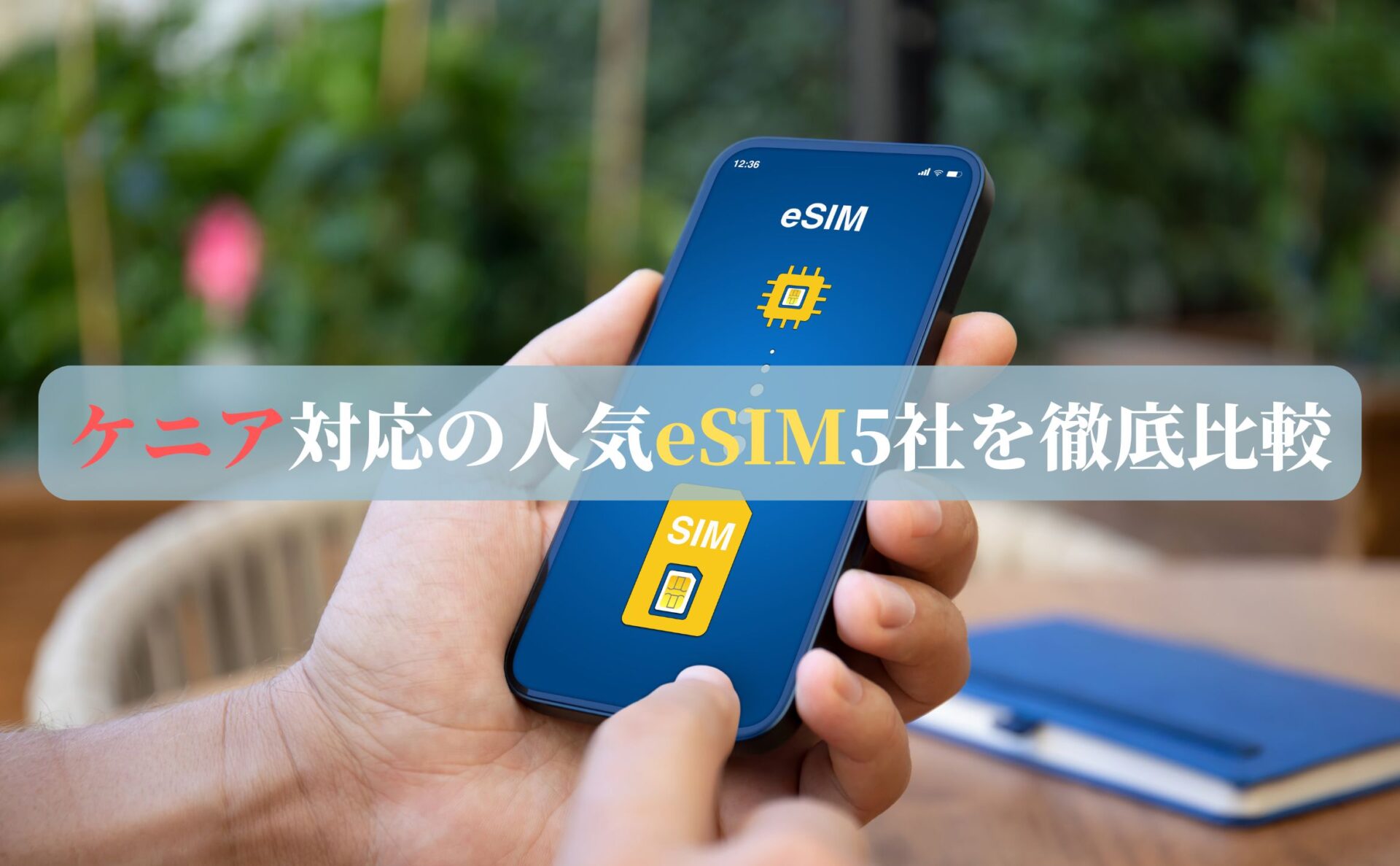 ケニア対応の人気eSIM5社を徹底比較