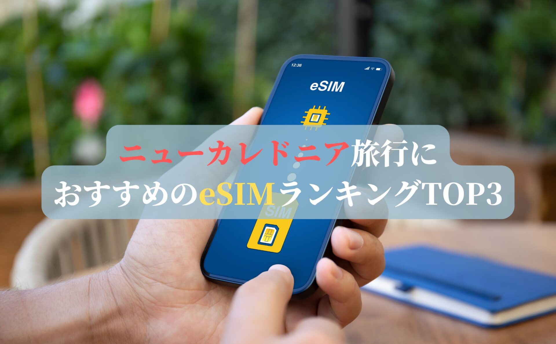 ニューカレドニア旅行におすすめのeSIMランキングTOP3