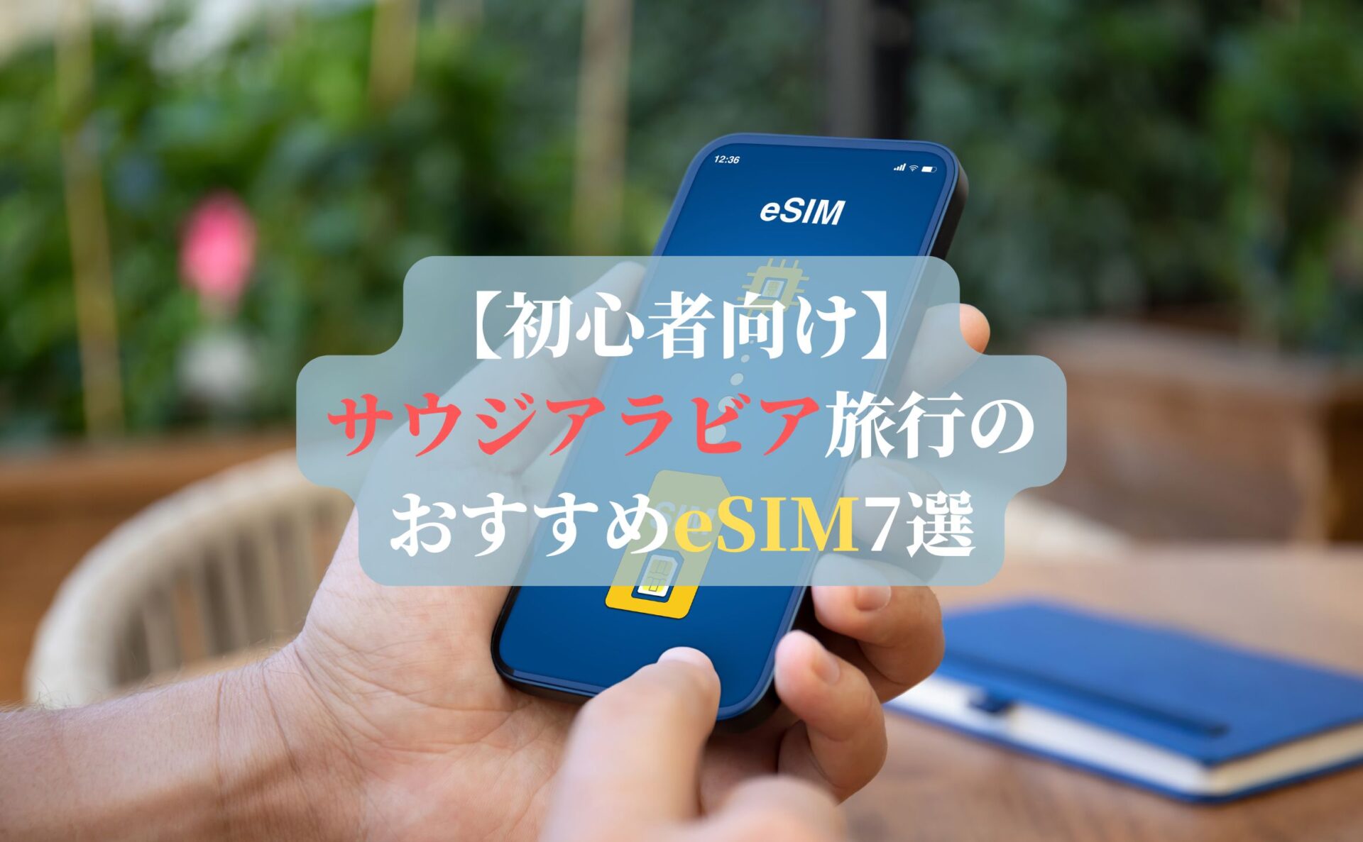 【初心者向け】サウジアラビア旅行のおすすめeSIM7選