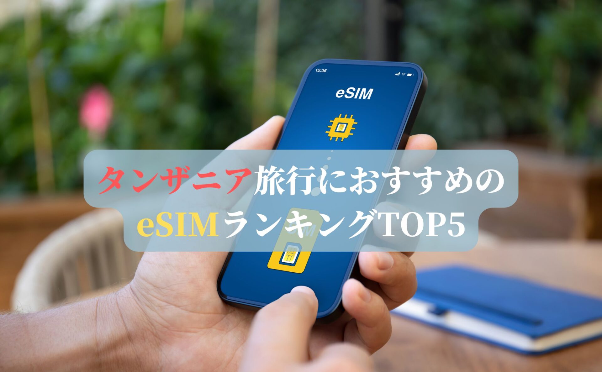 タンザニア旅行におすすめのeSIMランキングTOP5