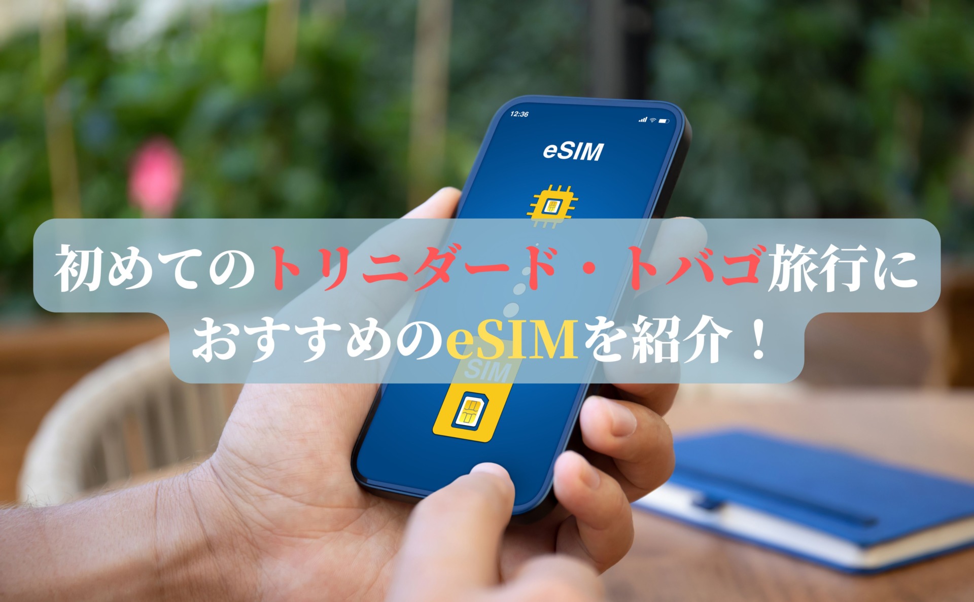 初めてのトリニダード・トバゴ旅行におすすめのeSIMを紹介！